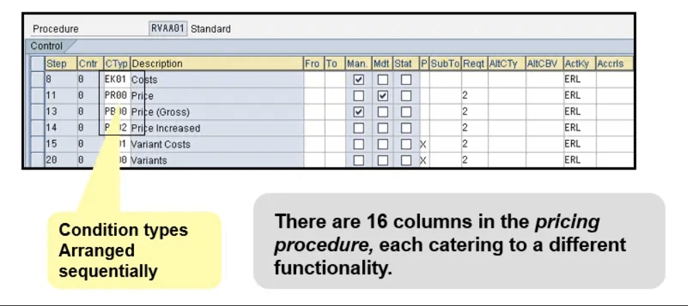 16 fields in pricing procedure in sap sd