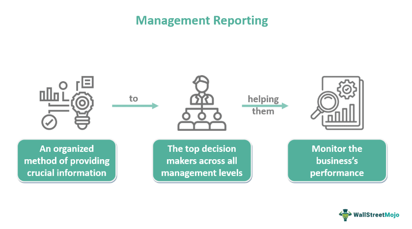 Management-Reporting