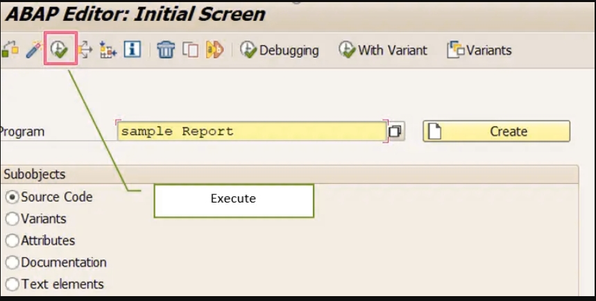 how to execute sap reports